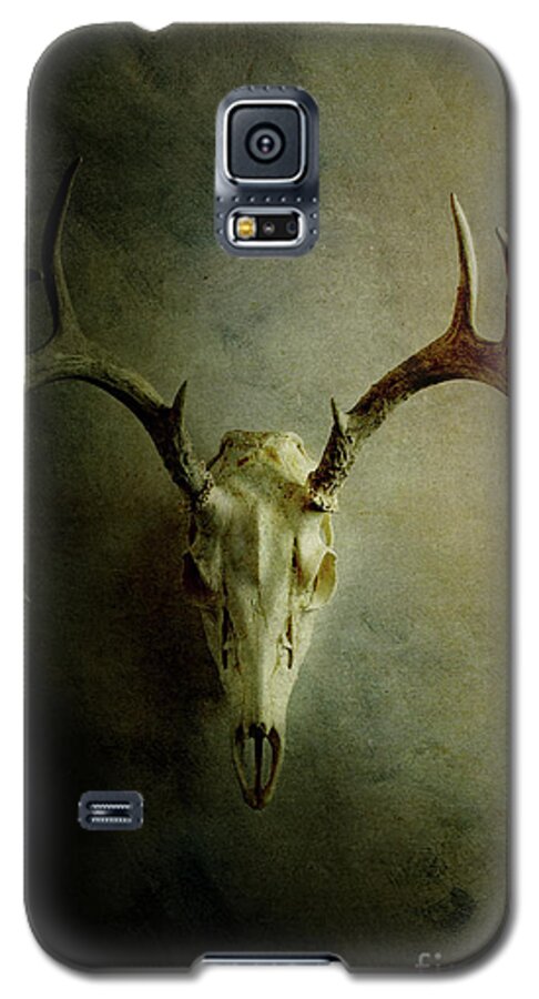 Deer Galaxy S5 Case featuring the photograph Stag Skull by Stephanie Frey