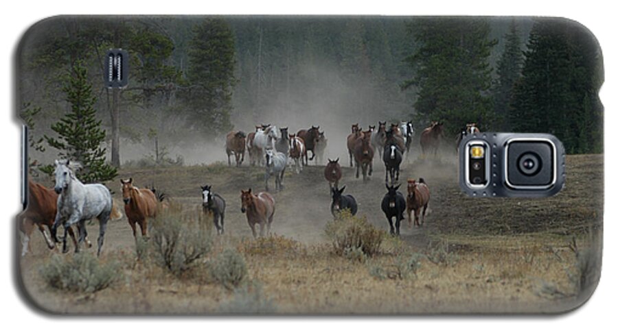 Horses Galaxy S5 Case featuring the photograph Stampede by Jody Lovejoy