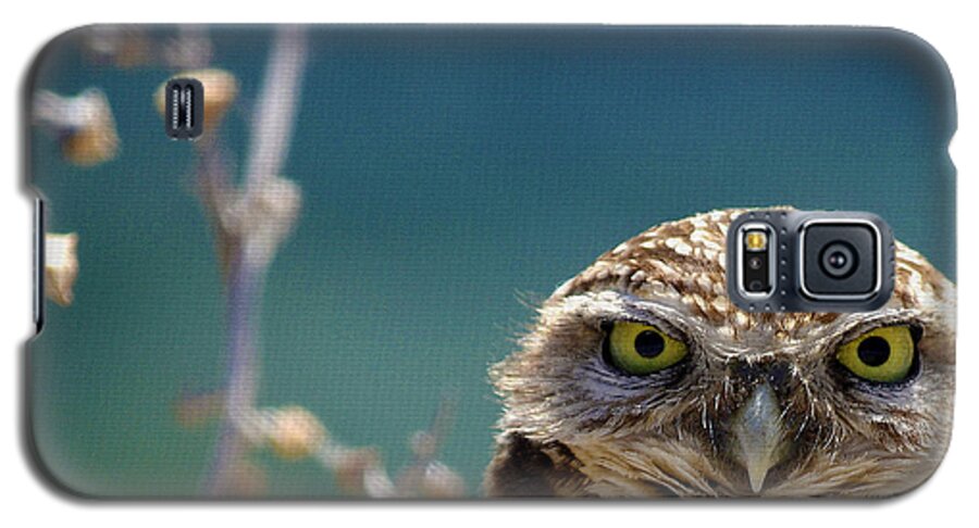 Burrowing Owl Galaxy S5 Case featuring the photograph Standing My Ground Deux by Fraida Gutovich