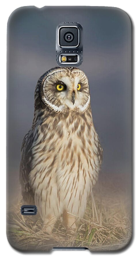 Owl Galaxy S5 Case featuring the photograph Standing Tall by Angie Vogel