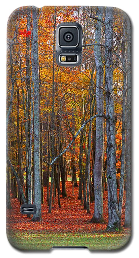 Historic Galaxy S5 Case featuring the photograph Standing Tall on the Natchez Trace by T Lowry Wilson