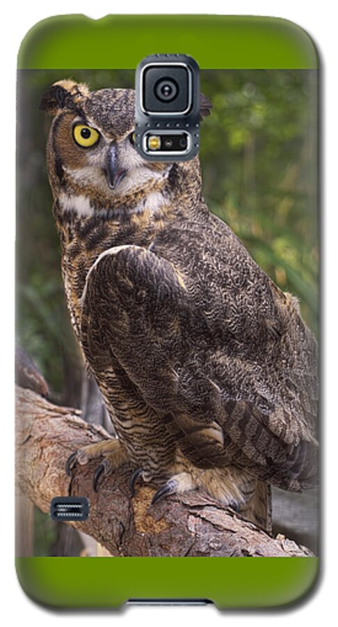 Feathers Galaxy S5 Case featuring the photograph Stare me down baby by Cheri McEachin