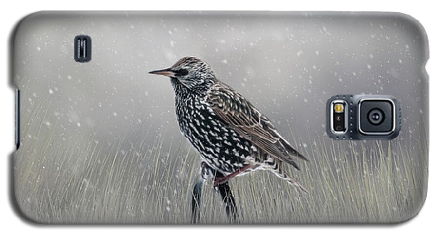 Avian Galaxy S5 Case featuring the photograph Starling In Winter by Cathy Kovarik