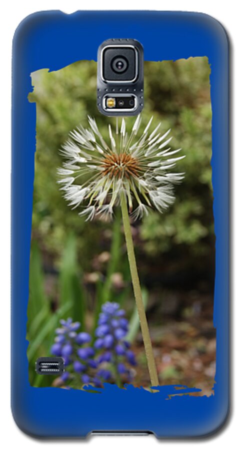 Dandelion Galaxy S5 Case featuring the photograph Starry Dandelion by Margie Avellino