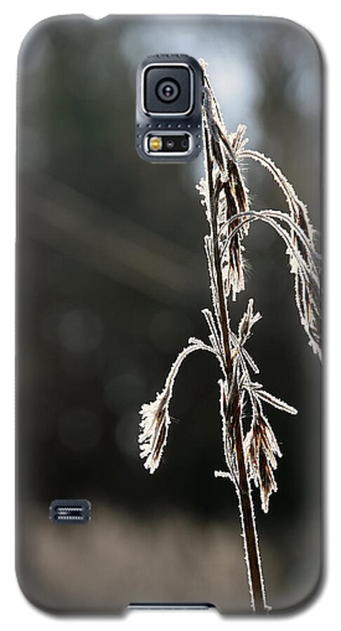 Sweden Galaxy S5 Case featuring the pyrography Straw in backlight by Magnus Haellquist