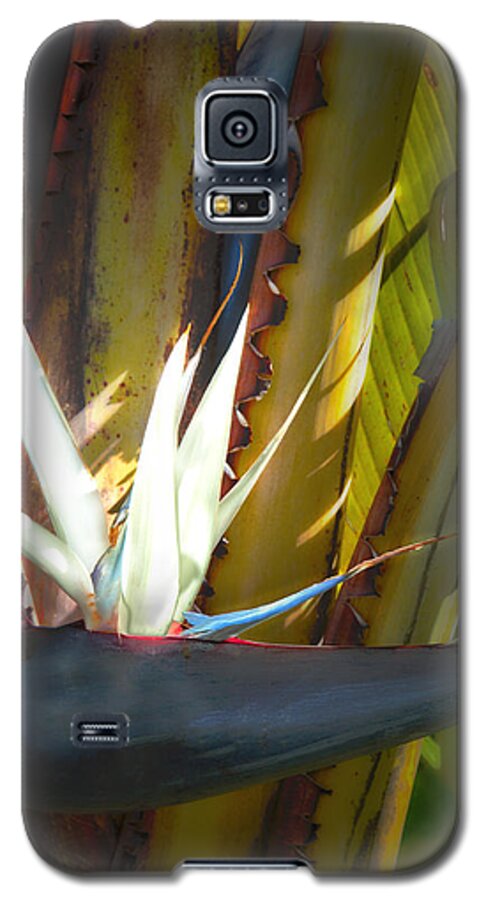Strelitzia Nicolai Galaxy S5 Case featuring the photograph Strelitzia Nicolai by John Bartosik