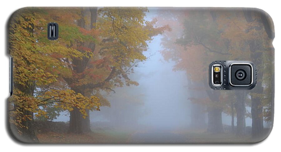 Sugar Maple Galaxy S5 Case featuring the photograph Sugar Maples on a Misty Country Road by John Burk