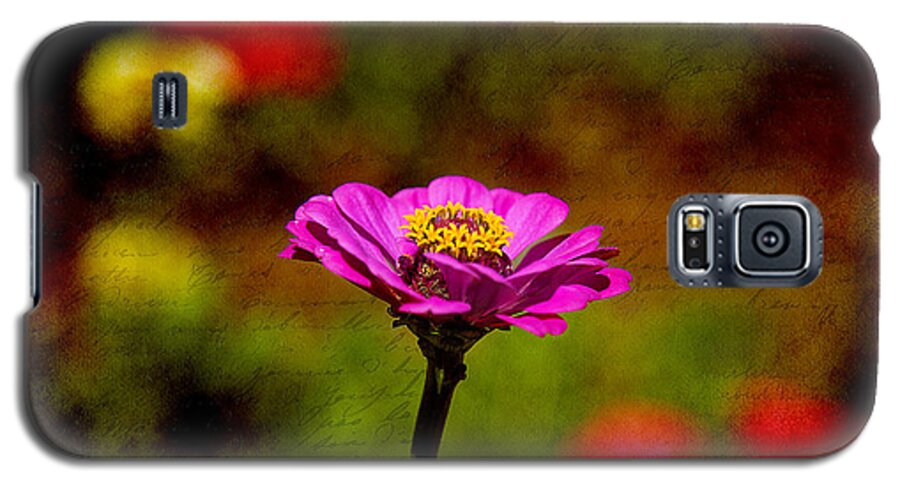 Zinnia Galaxy S5 Case featuring the photograph Summer Beauty by Milena Ilieva