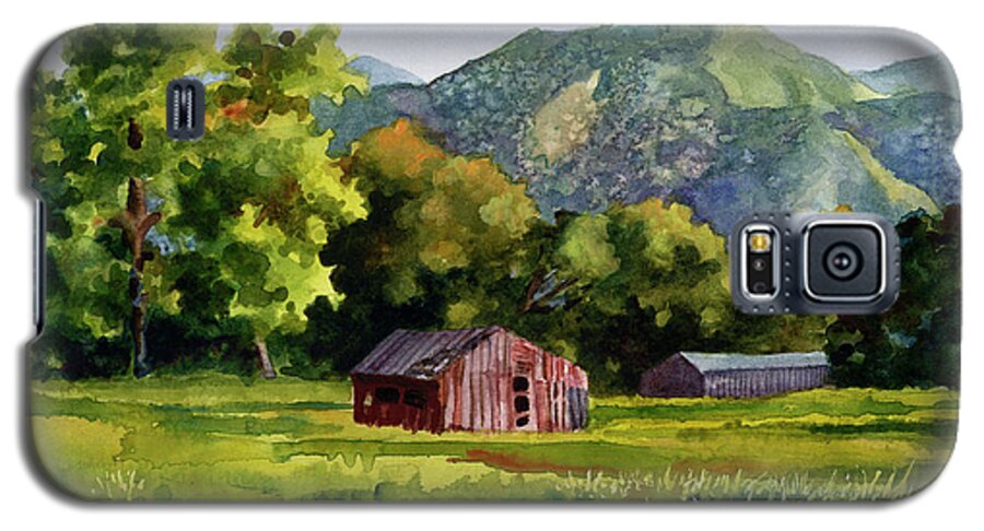 Barn Painting Galaxy S5 Case featuring the painting Summer Evening by Anne Gifford
