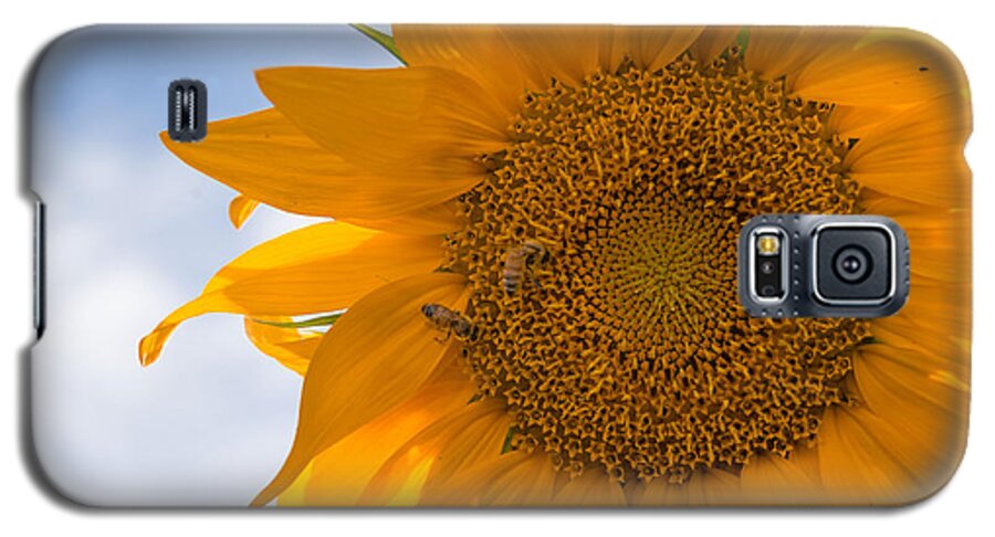 Sunflowers Galaxy S5 Case featuring the photograph Sunflower and the Bee by Janet Kopper