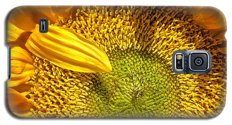 Sunflower Galaxy S5 Case featuring the digital art Sunflower Closeup by Dick Pratt