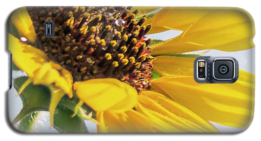 Beautiful Galaxy S5 Case featuring the digital art Sunflowers by Brad Thornton