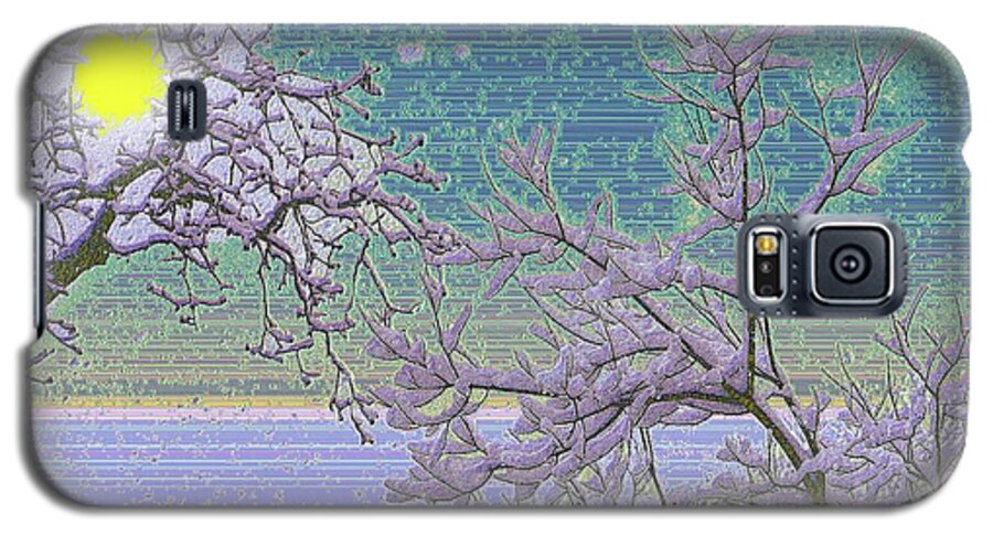 Sun Galaxy S5 Case featuring the photograph Sunkissed Snowy Morning by Diane Lindon Coy