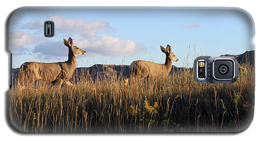 Mule Deer Galaxy S5 Case featuring the photograph Sunlit Deer by Paula Guttilla