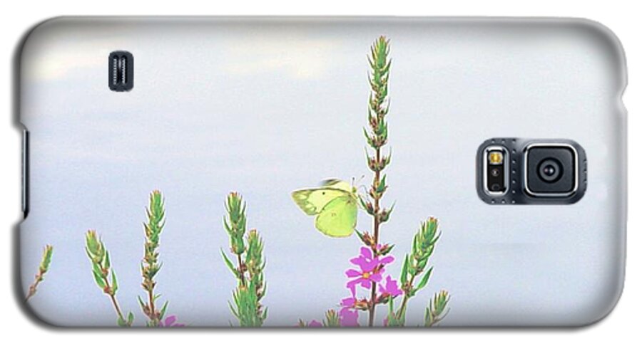 Butterfly Galaxy S5 Case featuring the digital art Sunny Day by Cliff Wilson