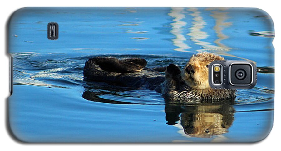Sea Galaxy S5 Case featuring the photograph Sunny Faced Sea Otter by Deana Glenz