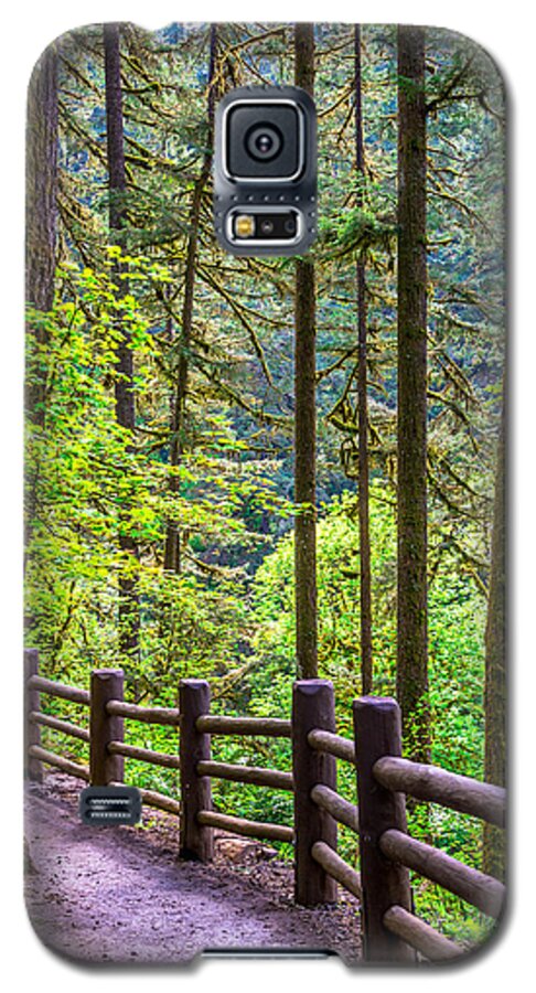 Path Galaxy S5 Case featuring the photograph Sunny Path by Jerry Cahill