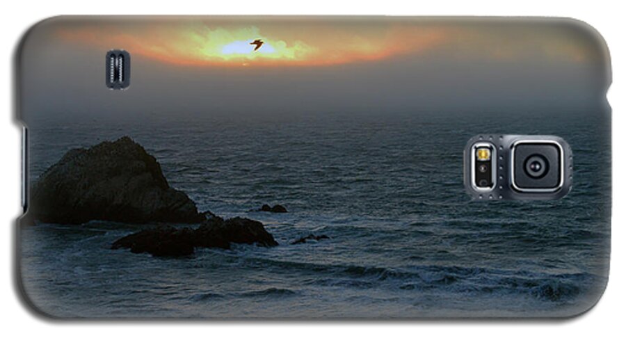 Bird Galaxy S5 Case featuring the photograph Sunset with the bird by Dragan Kudjerski