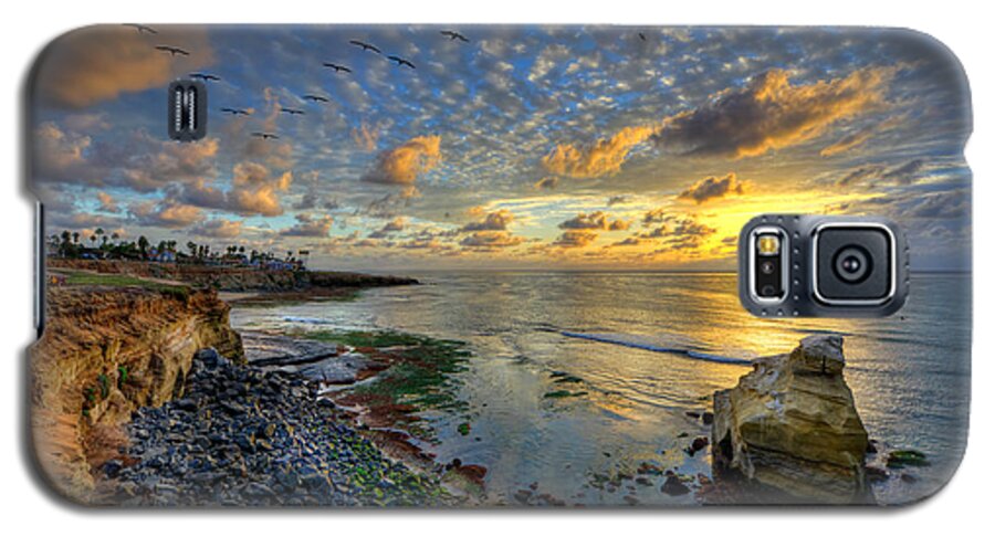 Sunset Cliffs In San Diego Galaxy S5 Case featuring the photograph Sunset Cliffs with Brown Pelicans by Mark Whitt