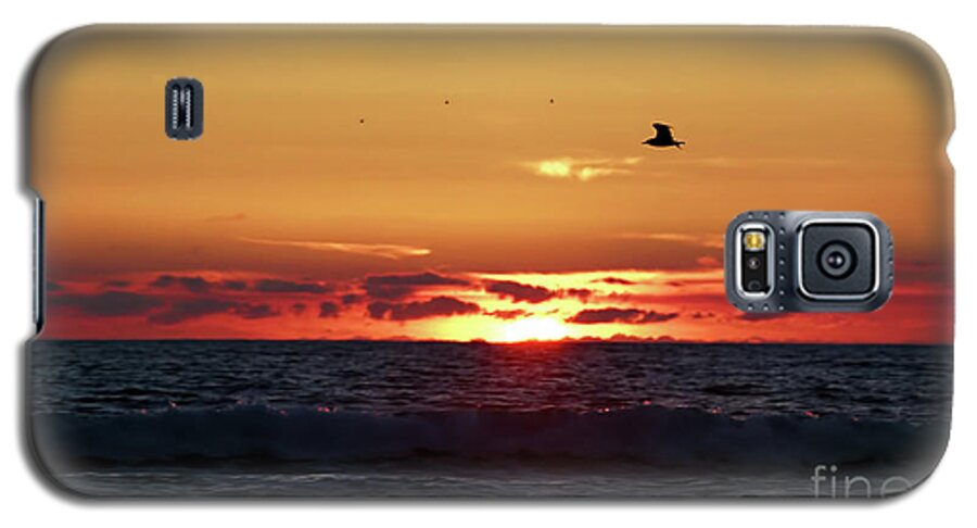 Ocean Galaxy S5 Case featuring the photograph Sunset Flight by Nicki McManus