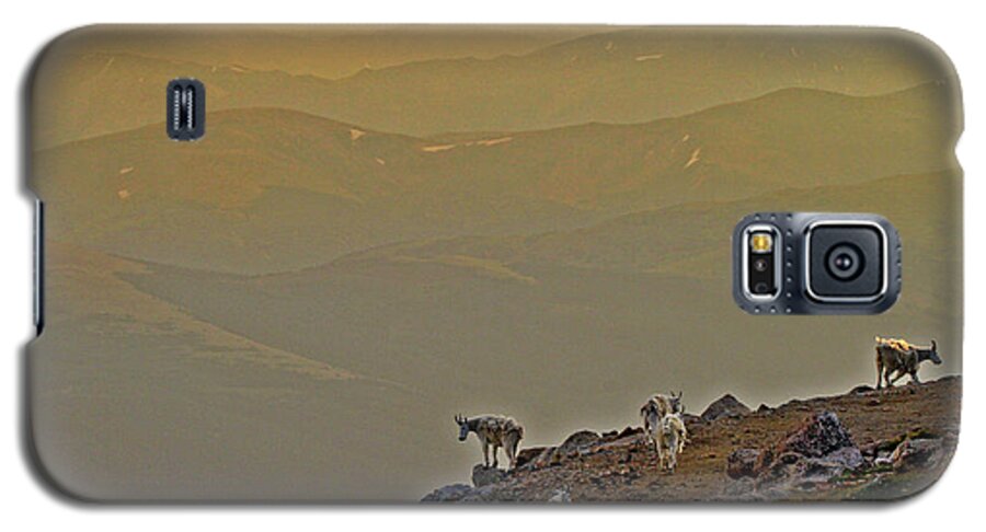 Mountain Goat Galaxy S5 Case featuring the photograph Sunset on The Edge by Scott Mahon