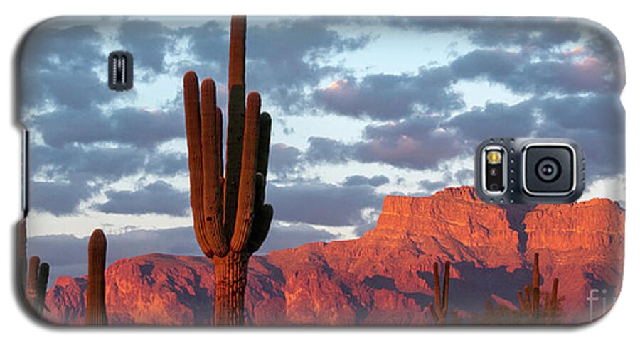 Superstition Mountain Galaxy S5 Case featuring the photograph Superstitions Mt Pink Custom Pano by Joanne West