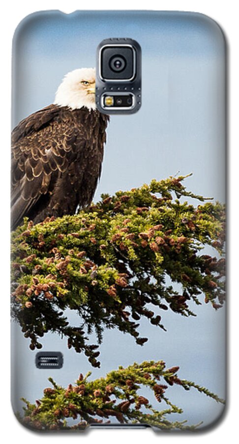 Alaska Galaxy S5 Case featuring the photograph Surveying the Treeline by Tim Newton
