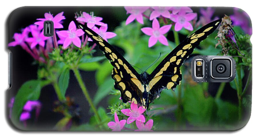 Butterfly Galaxy S5 Case featuring the photograph Swallowtail Butterfly rests on pink flowers by Toni Hopper
