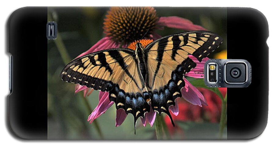 Yellow Galaxy S5 Case featuring the photograph Swallowtail in the Prarie by Michael Hall