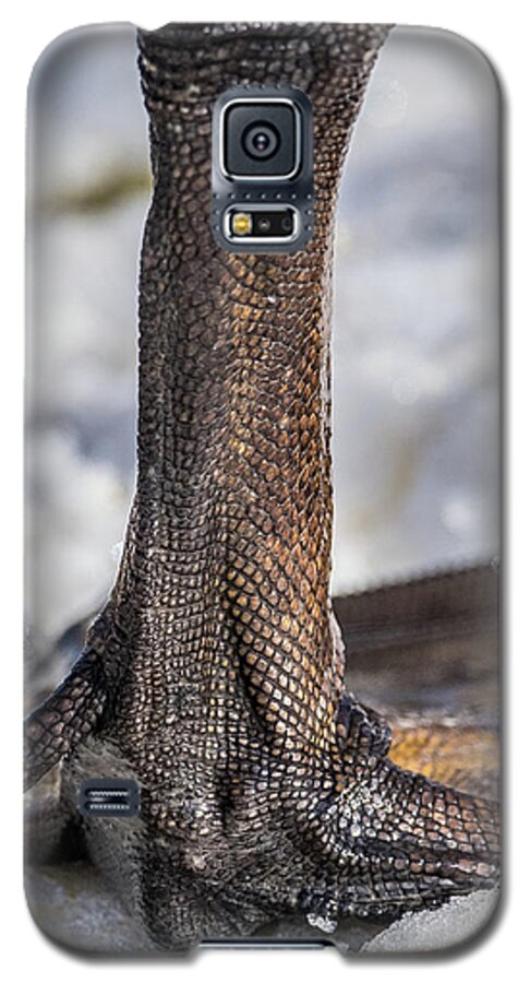Swan Galaxy S5 Case featuring the photograph Swan Leg by Paul Freidlund