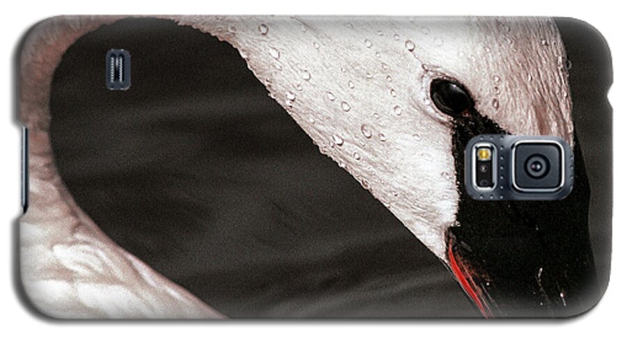 Jean Noren Galaxy S5 Case featuring the photograph Swan Neck by Jean Noren