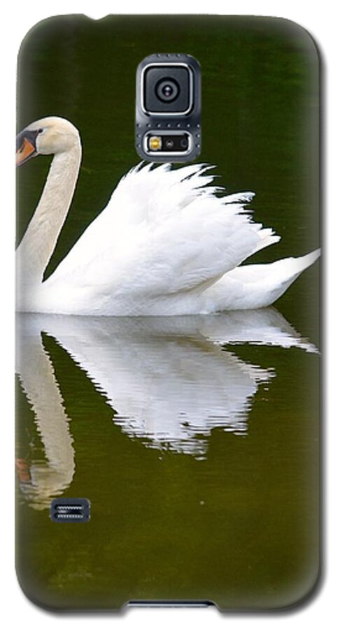 Swan Galaxy S5 Case featuring the photograph Swan Reflecting by Richard Bryce and Family