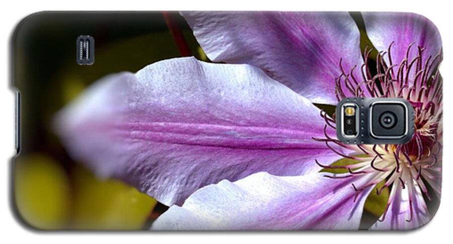 Flora Galaxy S5 Case featuring the photograph Sweet Nelly Clematis by Stephen Melia