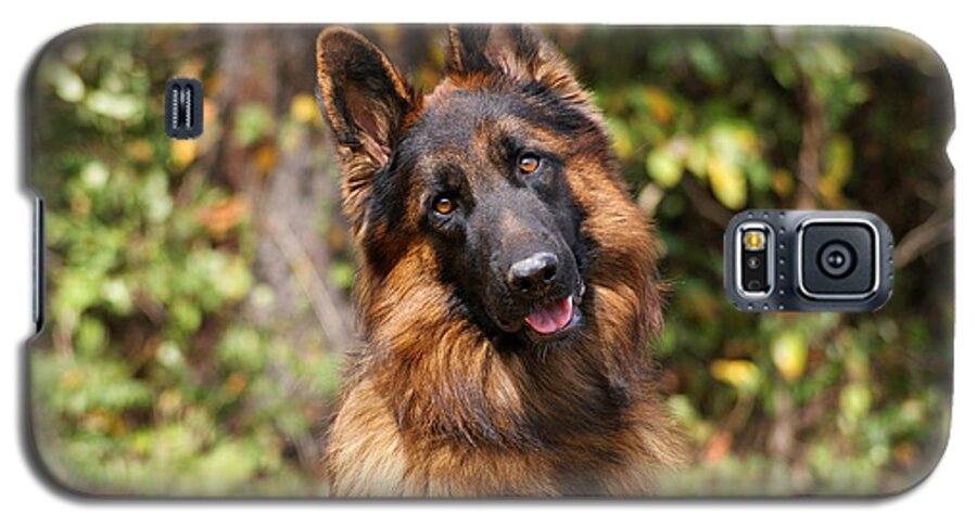 German Shepherd Dog Galaxy S5 Case featuring the photograph Sweetness by Sandy Keeton
