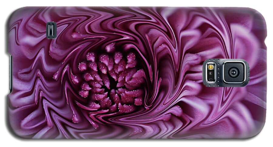 Flower Galaxy S5 Case featuring the photograph Purple Mum Abstract by Glenn Gordon