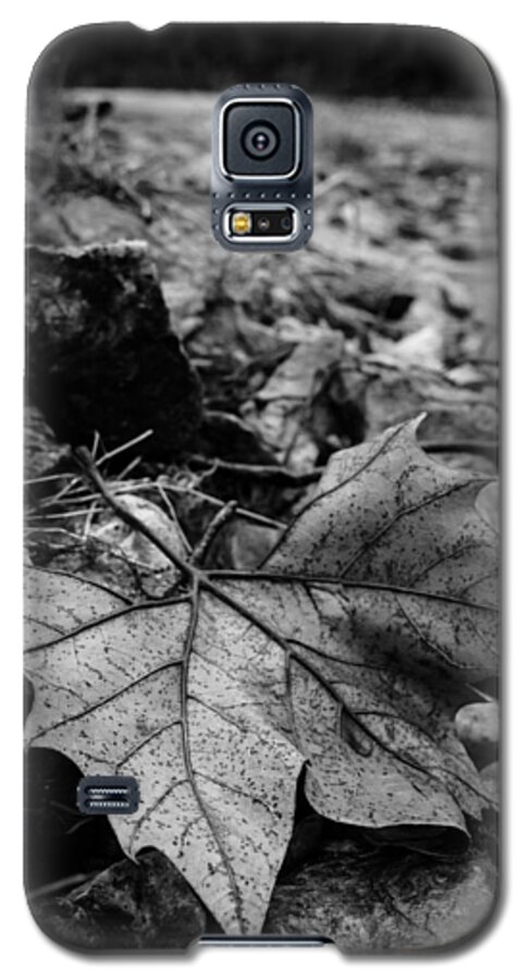 Leaf Galaxy S5 Case featuring the photograph Sycamore Leaf by Jeff Phillippi