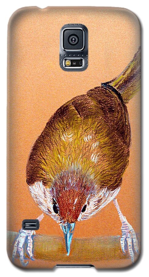 Tailor Bird Galaxy S5 Case featuring the drawing Tailor Bird by Jasna Dragun