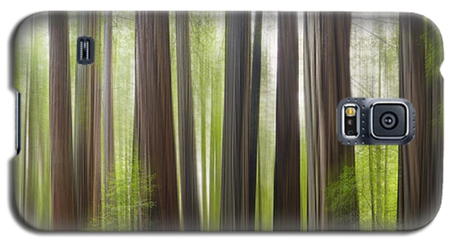 Redwoods Galaxy S5 Case featuring the photograph Take me to the forest by Brad Scott