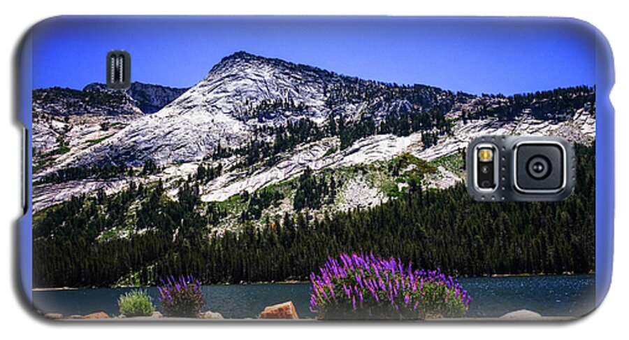 California Galaxy S5 Case featuring the photograph Tanaya Lake Wildflowers Yosemite by Lawrence S Richardson Jr