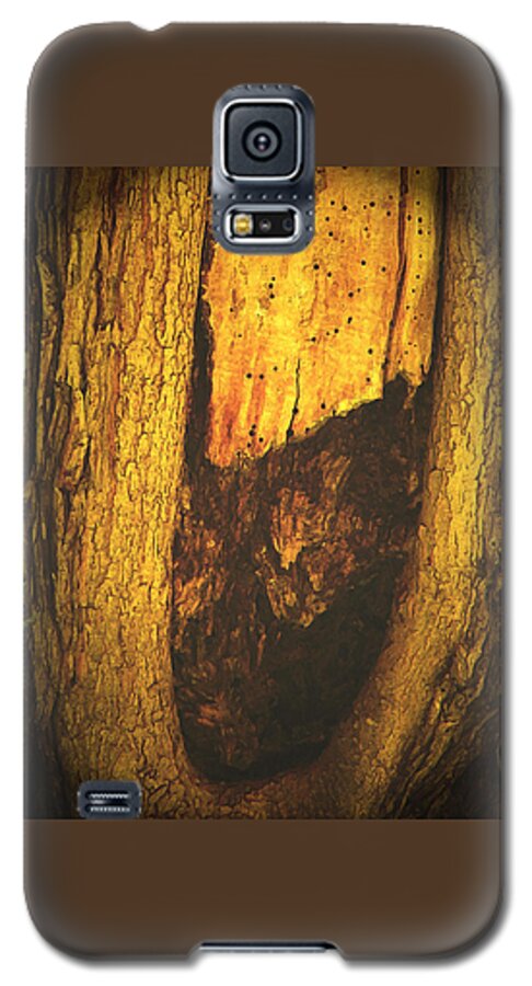 Abstract Galaxy S5 Case featuring the photograph The African Queen by Lenore Senior