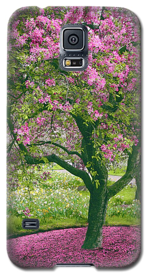 Apple Trees Galaxy S5 Case featuring the photograph The Apple Doesn't Fall Far from the Tree by Jessica Jenney