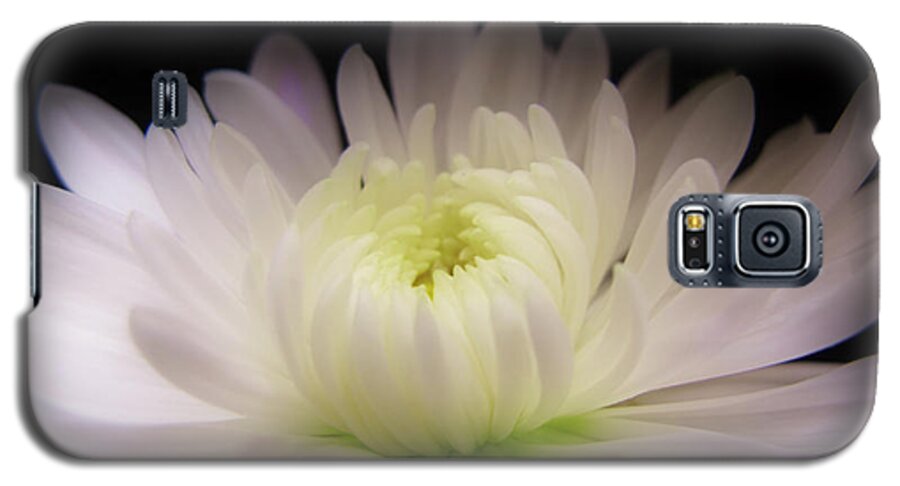 Wall Art Galaxy S5 Case featuring the photograph The Awakening by Kelly Holm