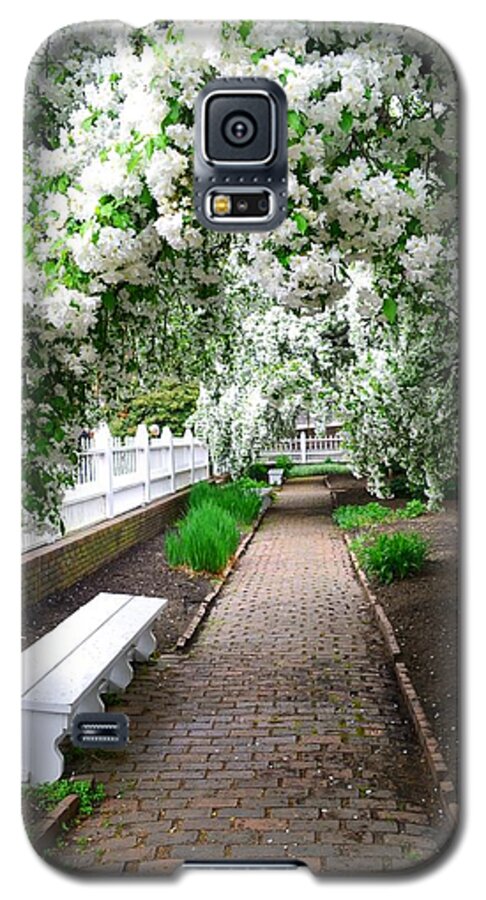japanese Crabapple Trees Japanese Galaxy S5 Case featuring the photograph The Bridal Path by Nina-Rosa Duddy