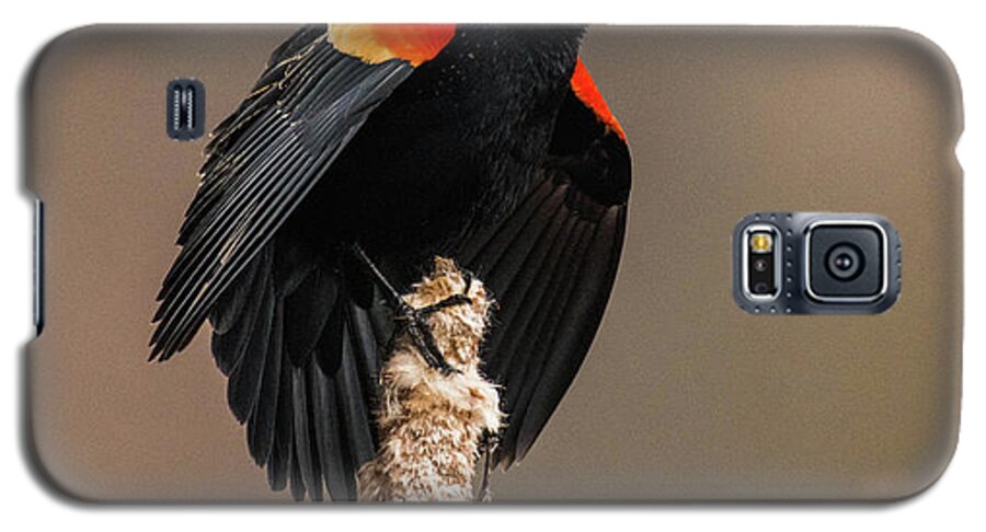 Bird Galaxy S5 Case featuring the photograph The Call by Jody Partin