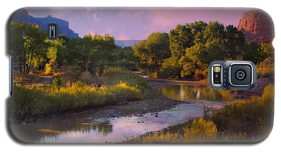 Delores River At Gate Way Colorado Galaxy S5 Case featuring the digital art The Delores River at Gate Way Colorado by Annie Gibbons