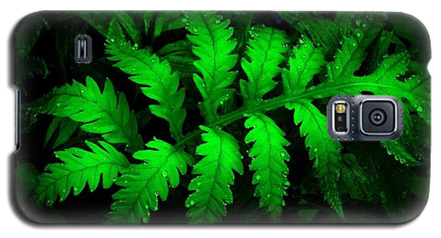 Green Galaxy S5 Case featuring the photograph The Fern by Elfriede Fulda
