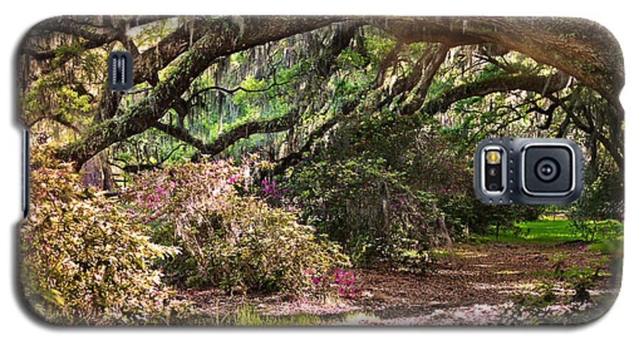 Healthy Galaxy S5 Case featuring the photograph The Garden Path by Lisa Lambert-Shank