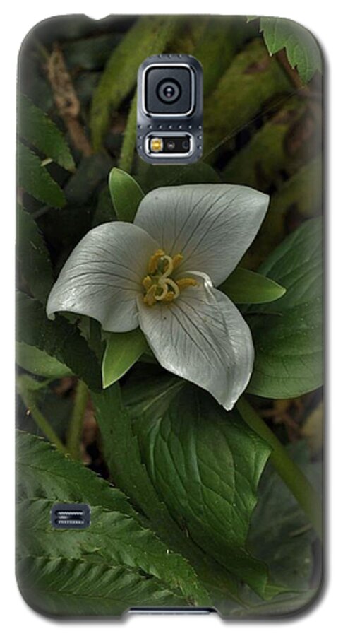 Flowers Galaxy S5 Case featuring the photograph The Gentle Trillium by Charles Lucas