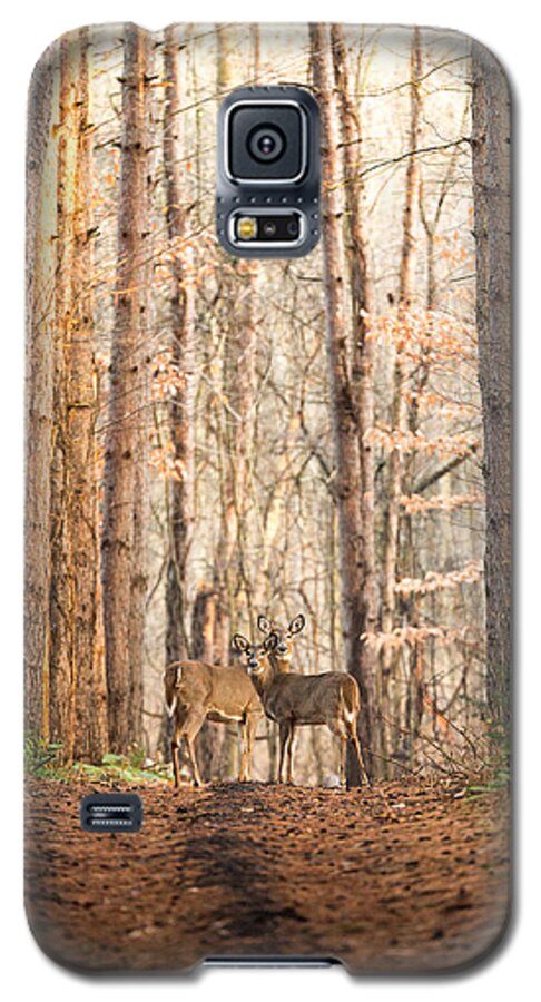 Deer Galaxy S5 Case featuring the photograph The Gift by Everet Regal