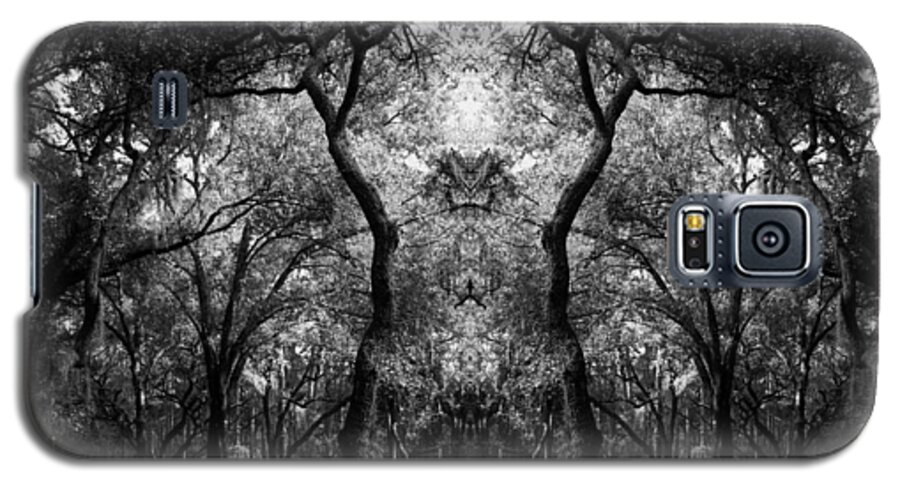Tree Galaxy S5 Case featuring the photograph The Gift by Stoney Lawrentz